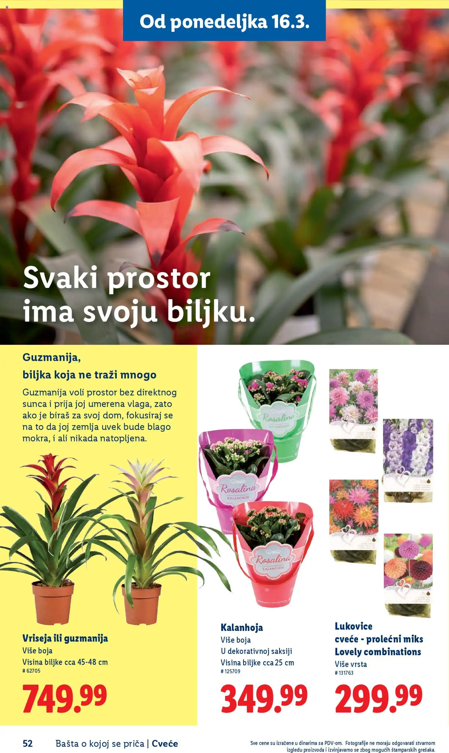 Lidl katalog - važi od 26.02.2026 | Strana: 52 | Proizvode: Kalanhoja, Zemlja, Cvece