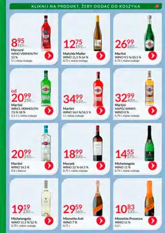 Pogląd oferty "Eurocash Gazetka - Katalog Alkoholowy 12" - ważna od 01.12.2025 | Strona: 46 | Produkty: Martini, Mionetto prosecco, Wino, Prosecco