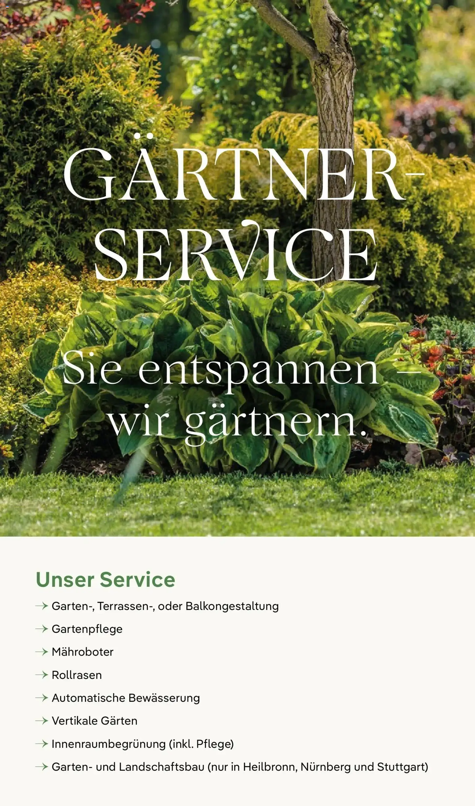 Pflanzen-Kölle Winterzauber erleben – gültig ab 03.11.2025 | Seite: 18