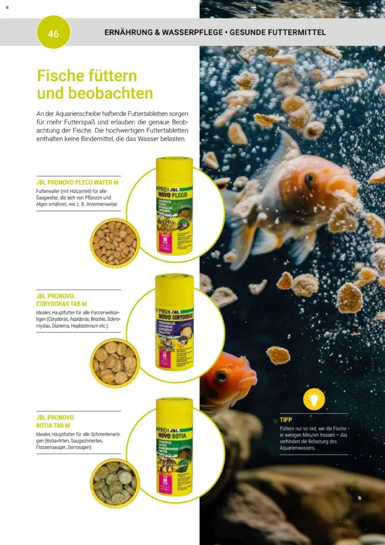 zookauf Themenkatalog Aquaristik – gültig ab 01.10.2025 | Seite: 46 | Produkte: Wasser