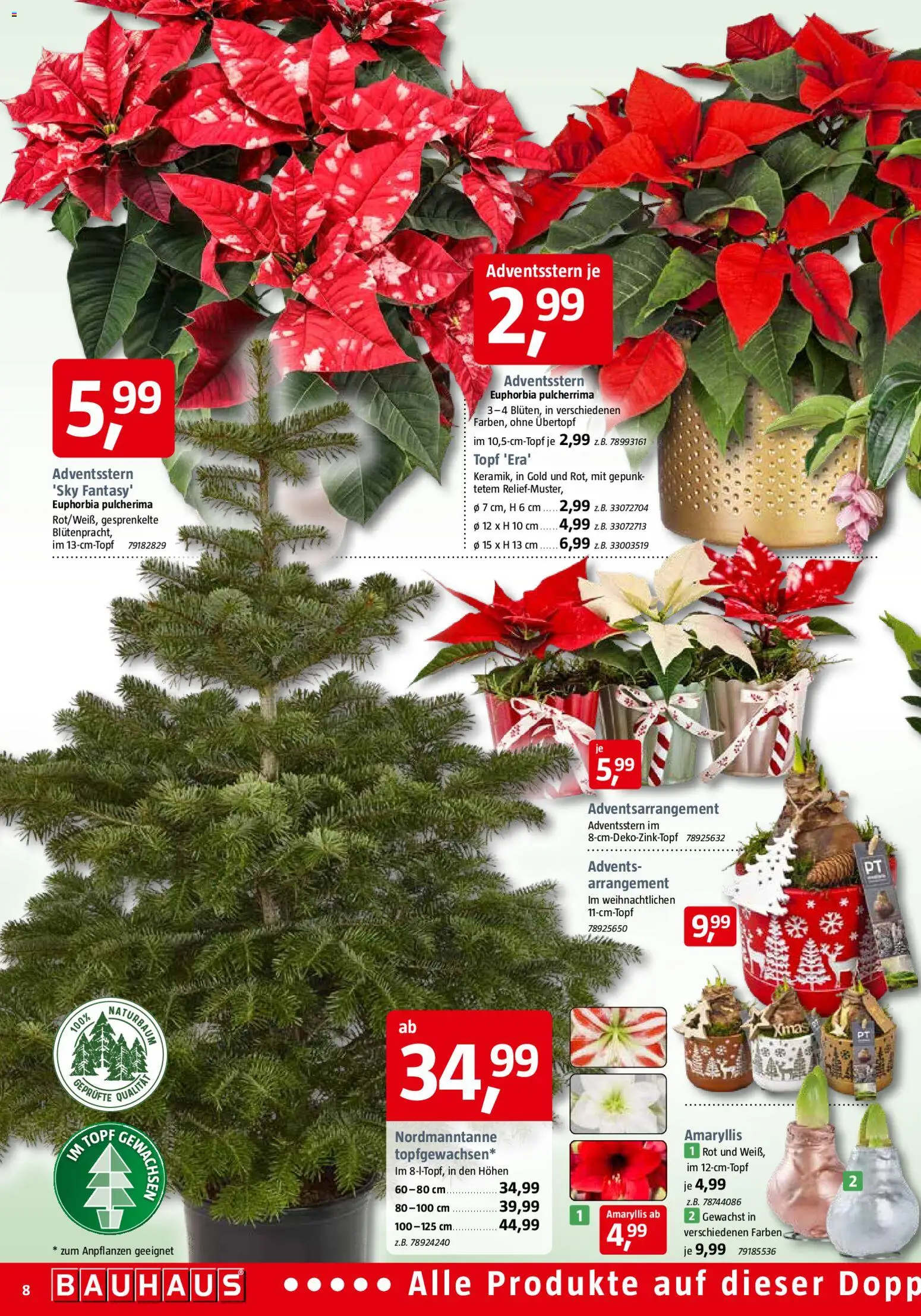 Bauhaus Prospekt 	 – gültig ab 01.11.2025 | Seite: 8