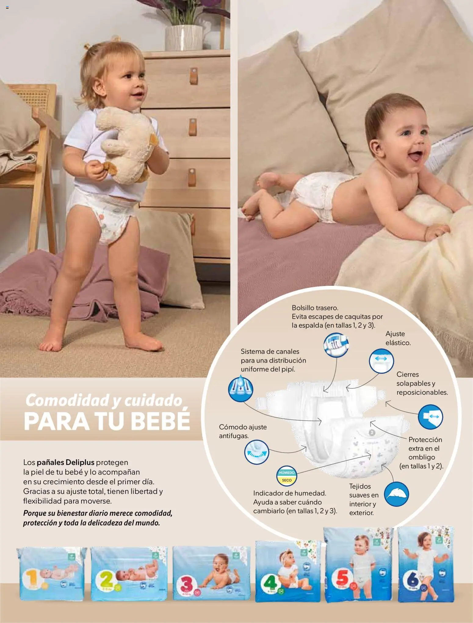 Catálogo Mercadona - febrero-marzo 2026 │ válido desde el 01.02.2026 | Página: 23