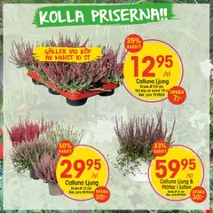 EKO - erbjudanden - Förhandsvisning av reklamblad från butik EKO aktuell från 08.09.2025