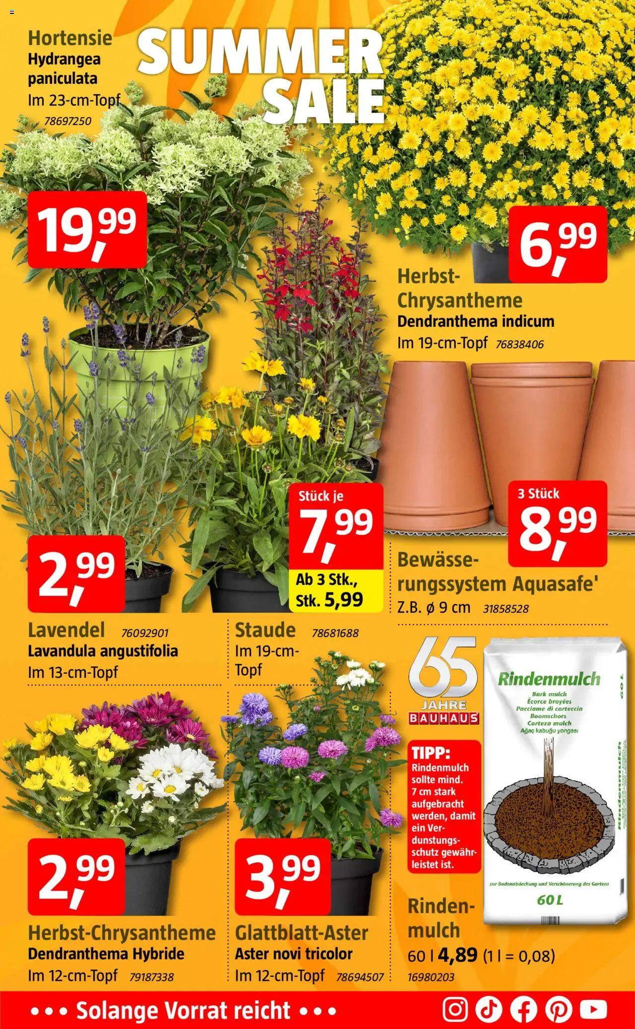 Bauhaus Prospekt 	 - gültig ab dem 20.07.2025 | Seite: 5 | Produkte: Rindenmulch, Hortensie, Lavendel