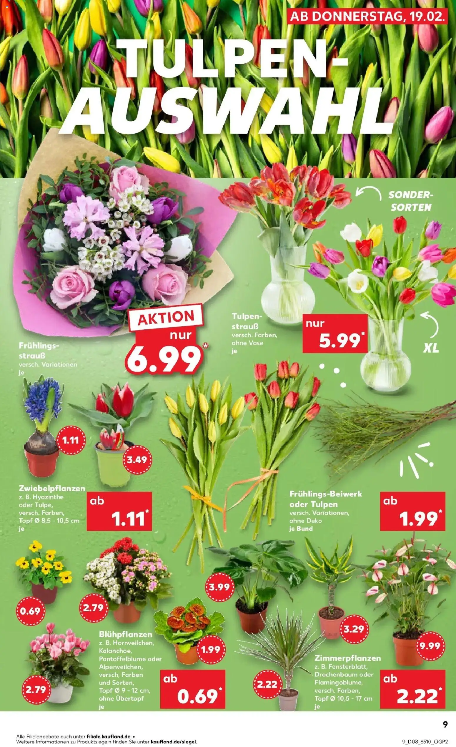 Kaufland prospekt Remscheid	 – gültig ab 22.02.2026 | Seite: 9 | Produkte: Vase