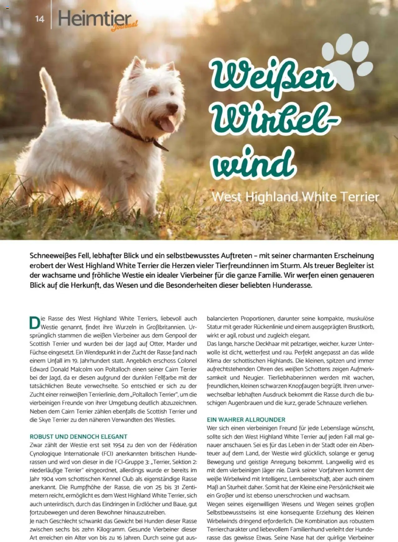 zookauf  Heimtier Journal - gültig ab dem 21.07.2025 | Seite: 14 | Produkte: Gewicht