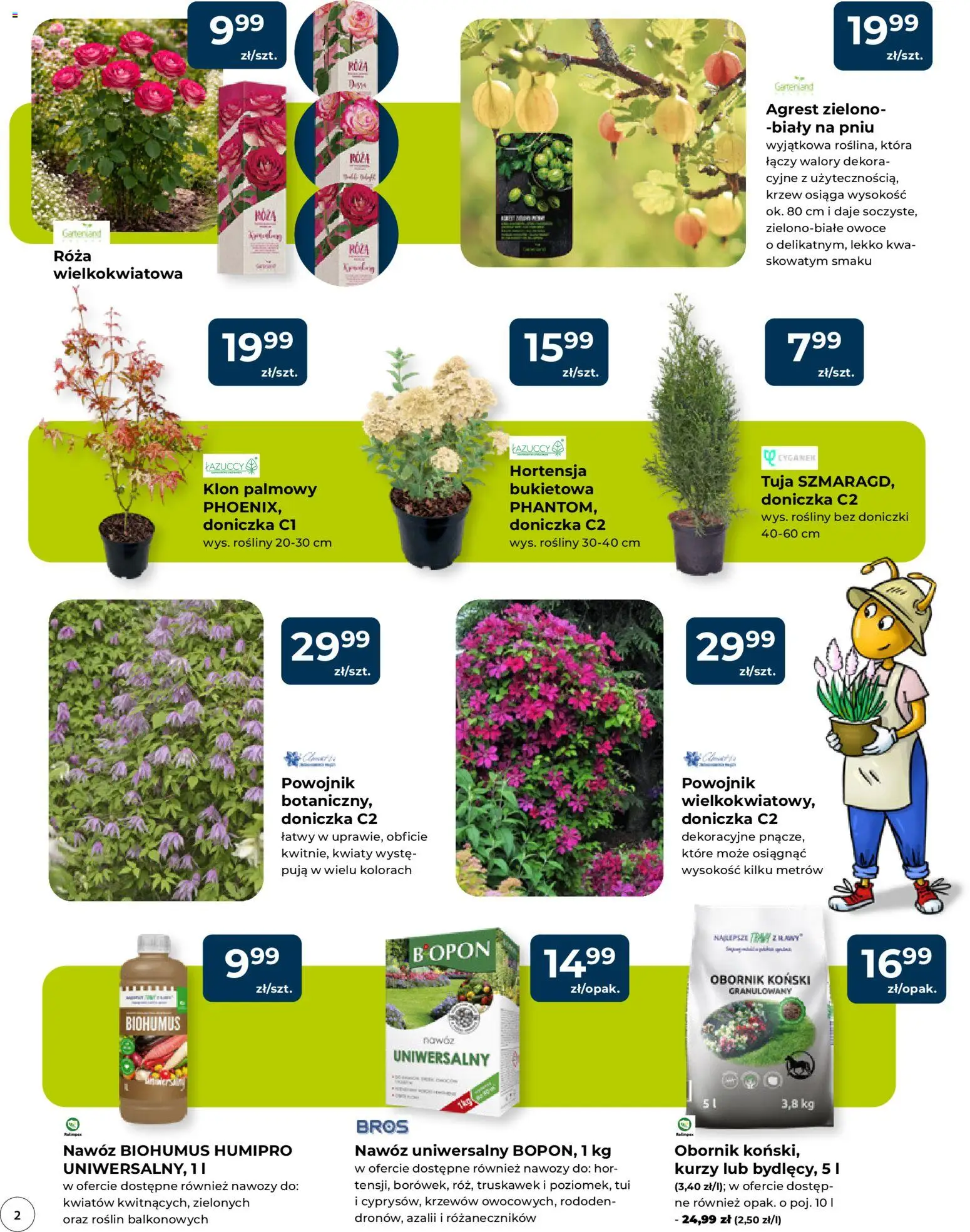 Mrówka gazetka - Malbork od 09.04.2026 | Strona: 2 | Produkty: Klon palmowy, Agrest, Rosliny, Owoce