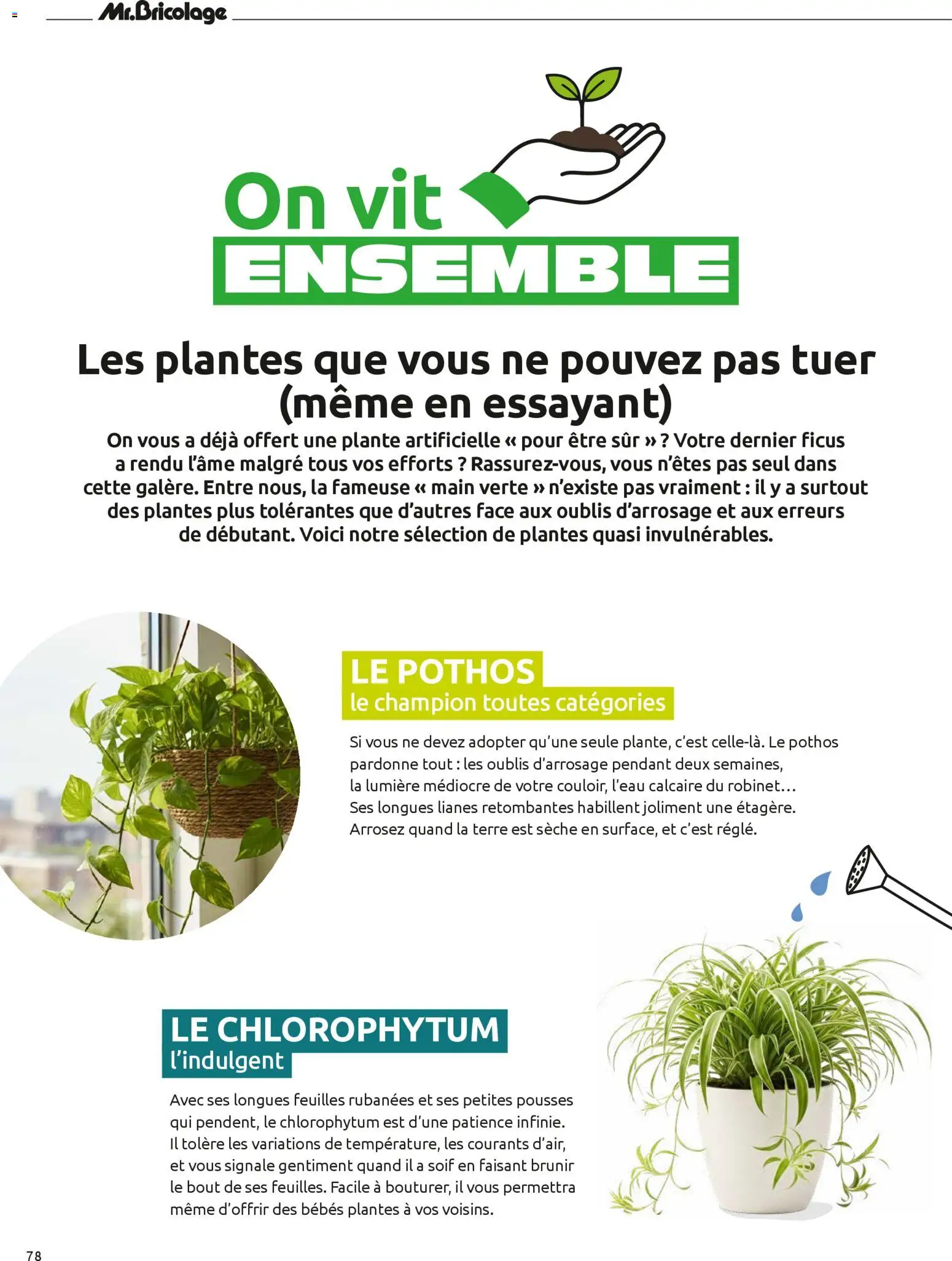 {H1} | Page: 78 | Produits: Robinet, Plantes, Plante artificielle