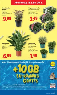 Lidl Flugblatt gültig ab 14.08.2025 | Seite: 27 | Produkte: Smartphone