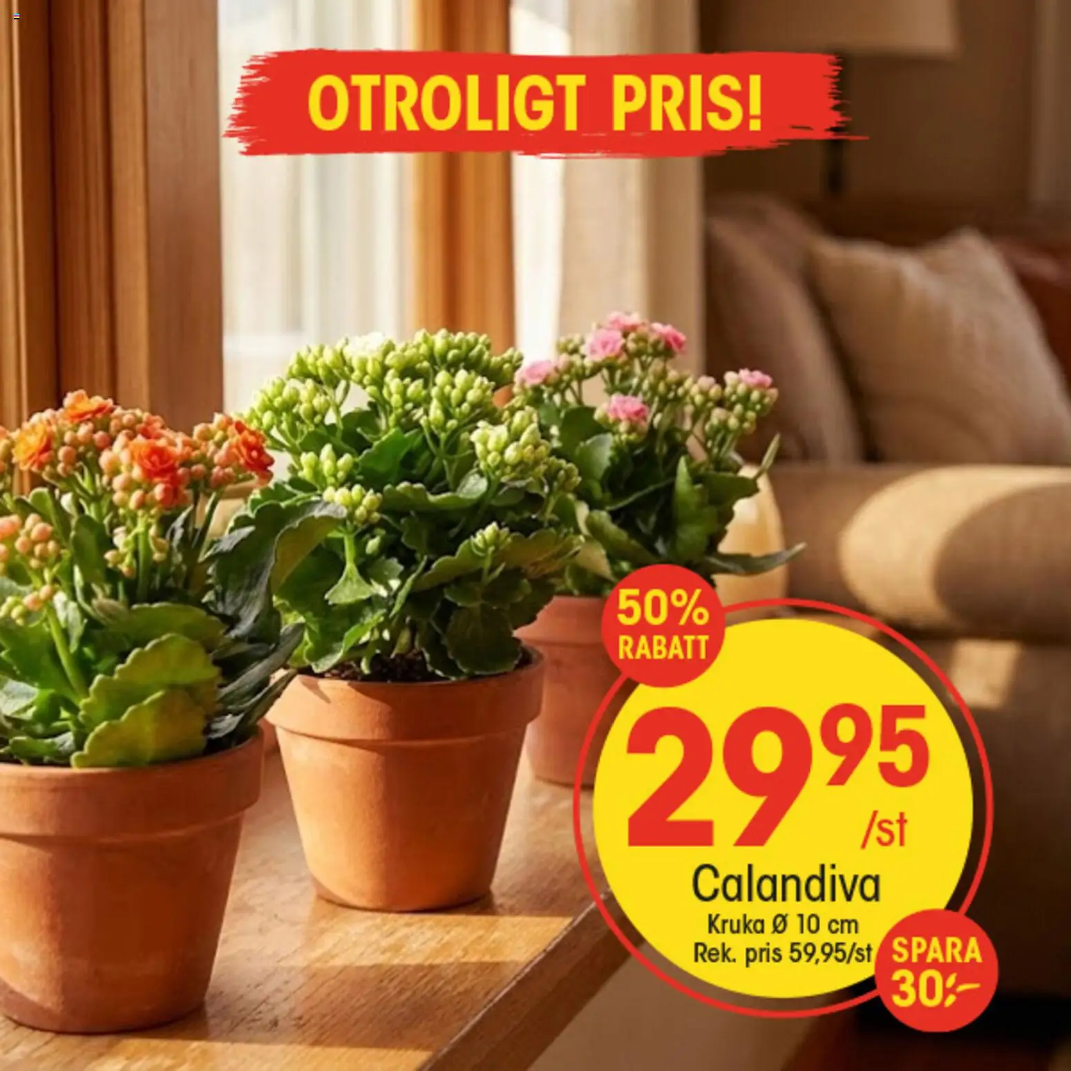 EKO reklamblad aktuell från 28.01.2026 | Sida: 3 | Produkter: Kruka