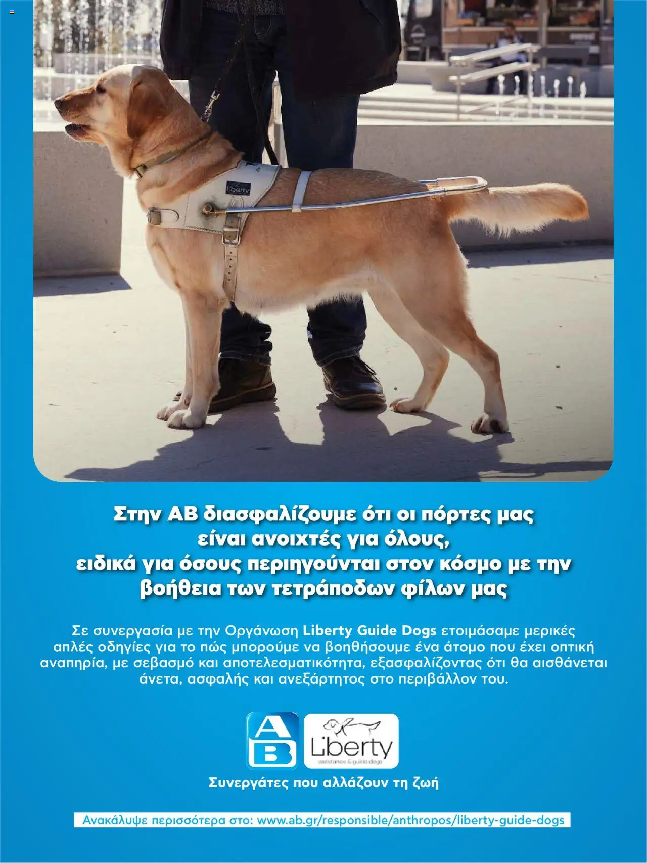  | Σελίδα: 49