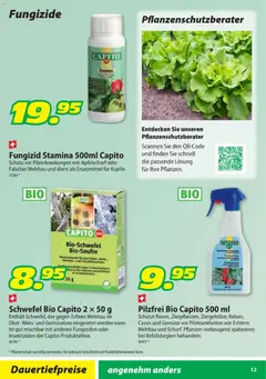 Landi Aktionen Capito ab 28.01.2026 gültig | Seite: 12