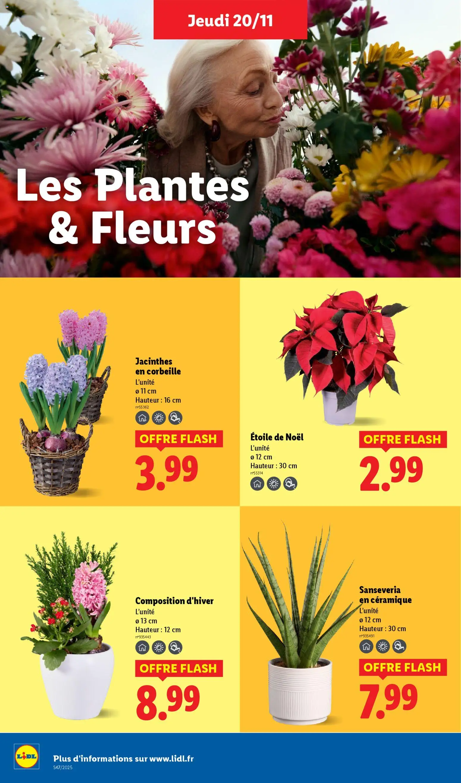 {H1} | Page: 36 | Produits: Plantes