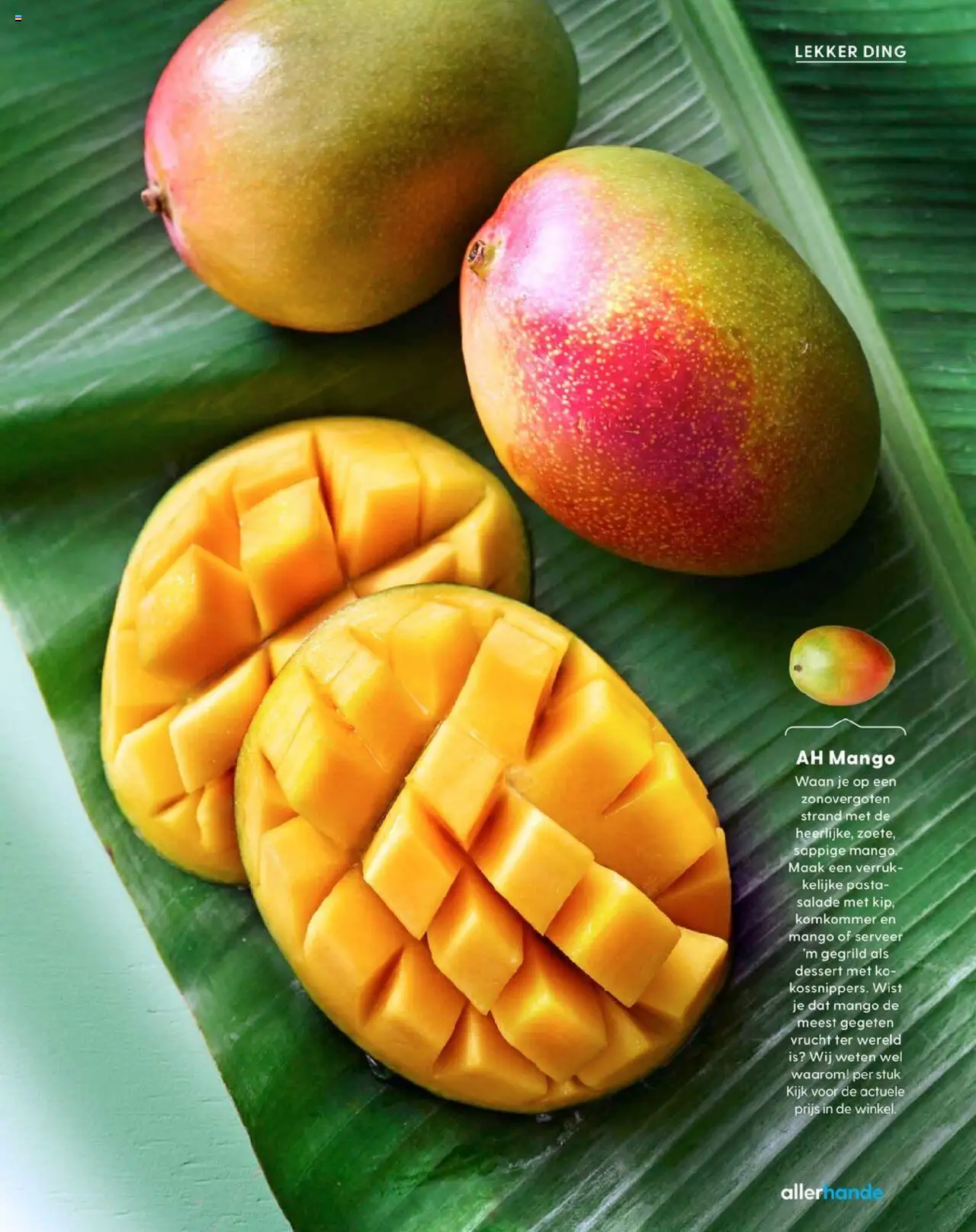  | Pagina: 7 | Producten: Komkommer, Pasta, Salade, Mango