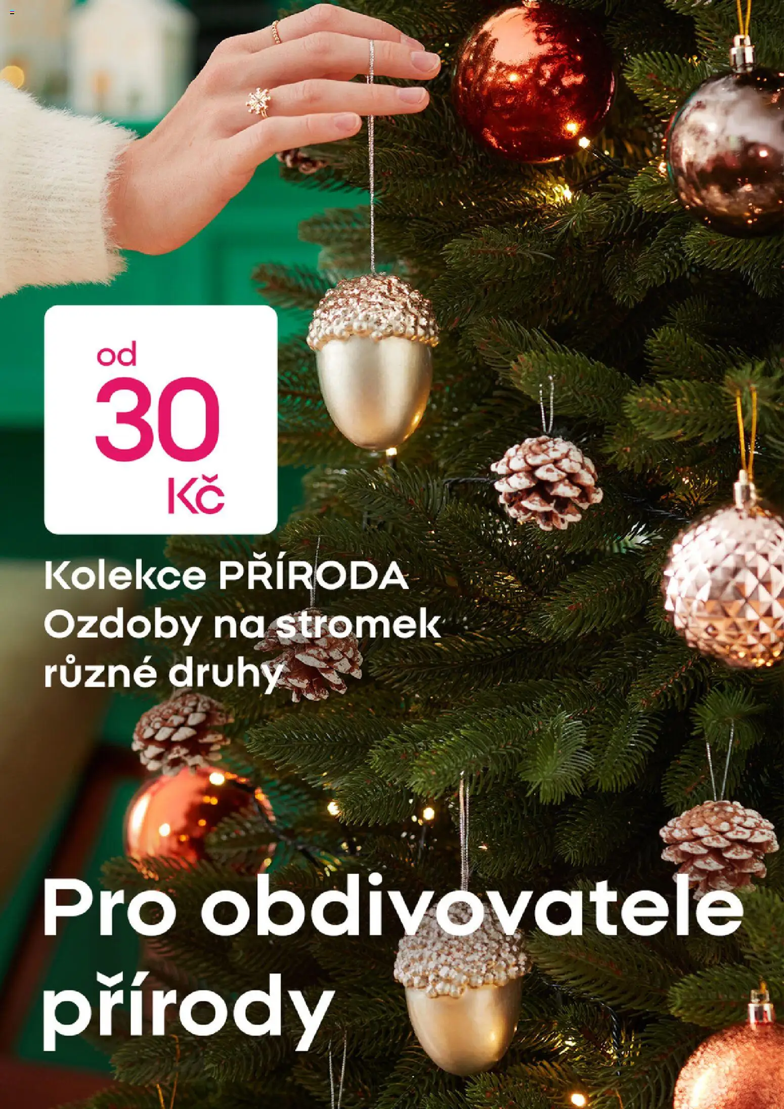 Pepco leták od 06.11.2025 | Strana: 5