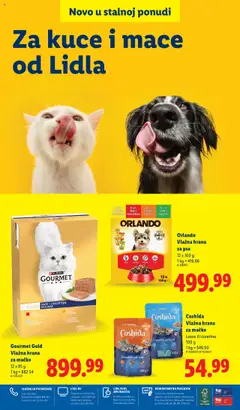 Lidl katalog - važi od 04.08.2025 | Strana: 22