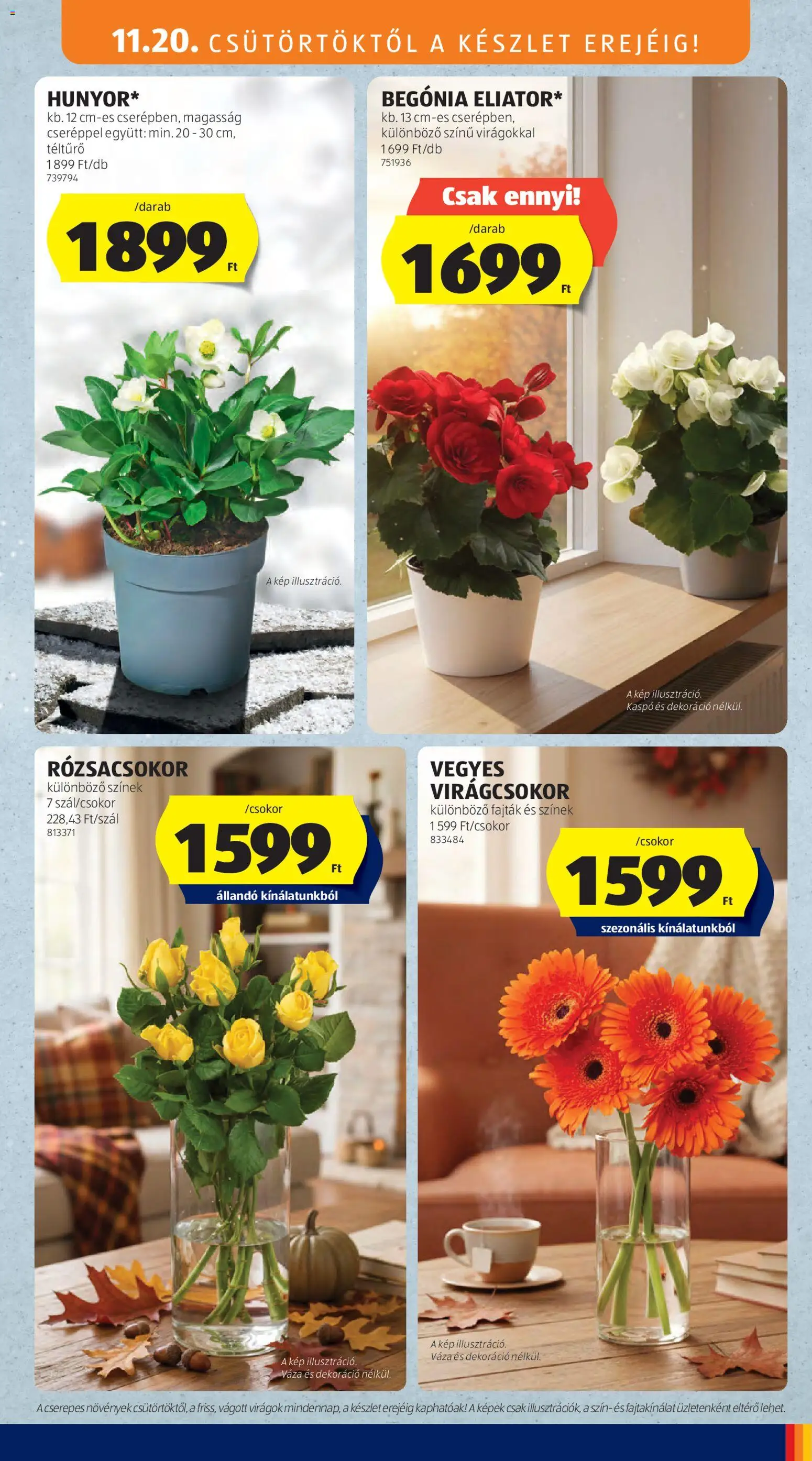 Aldi akciós ujság - amely érvényes a következő dátumtól: 20.11.2025 | Oldal: 11 | Termékek: Virágok, Váza, Kaspó, Dekoráció