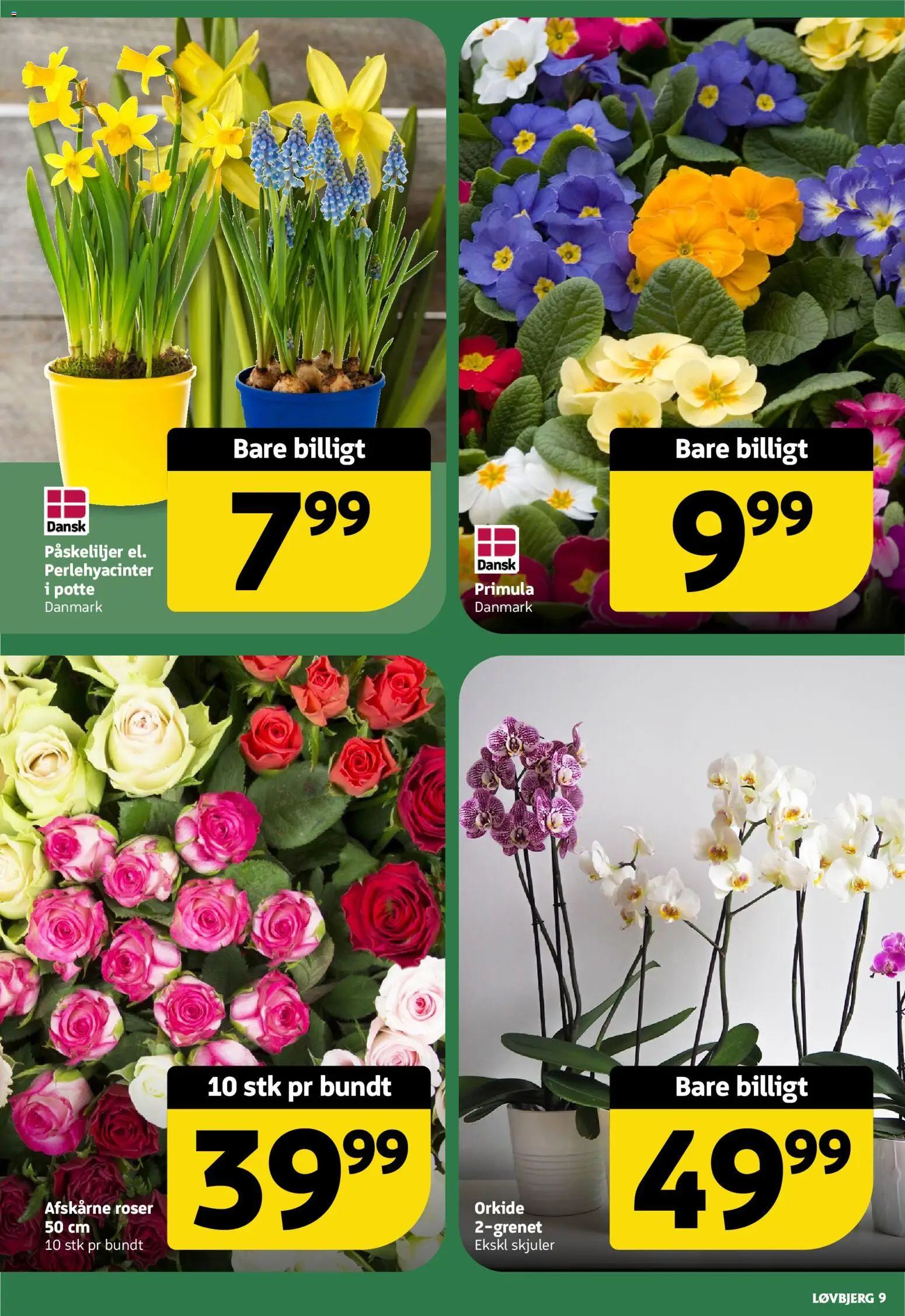 Løvbjerg tilbudsavis – gyldig fra 23.01.2026 | Side: 9