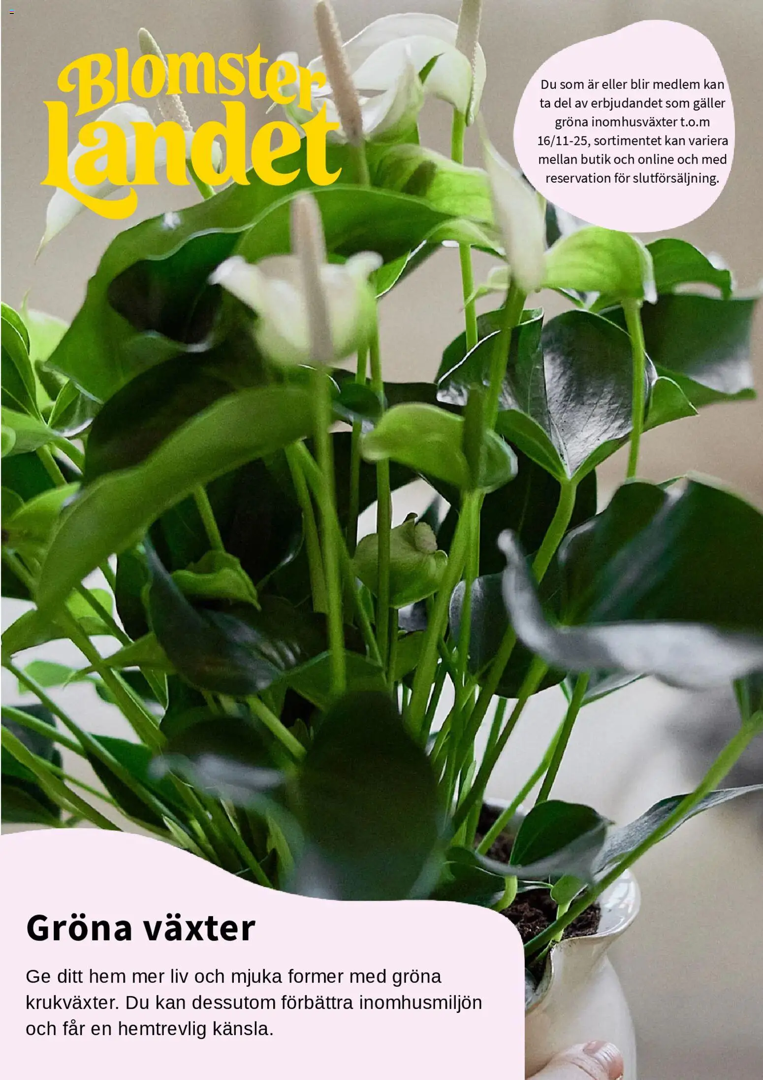 Blomsterlandet reklamblad aktuell från 01.11.2025 | Sida: 1 | Produkter: Galler