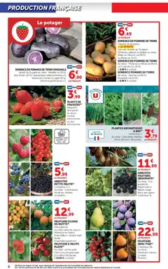 Hyper U - Prévisualisation de Hyper U - Le jardin à prix bas valide à partir de 17.02.2026 | Page: 8