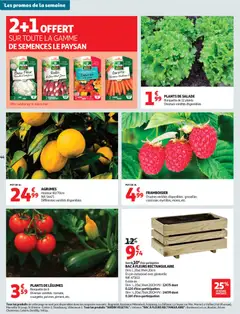 Auchan - Prévisualisation de Auchan Pâques, halles printemps valide à partir de 17.03.2026 | Page: 44