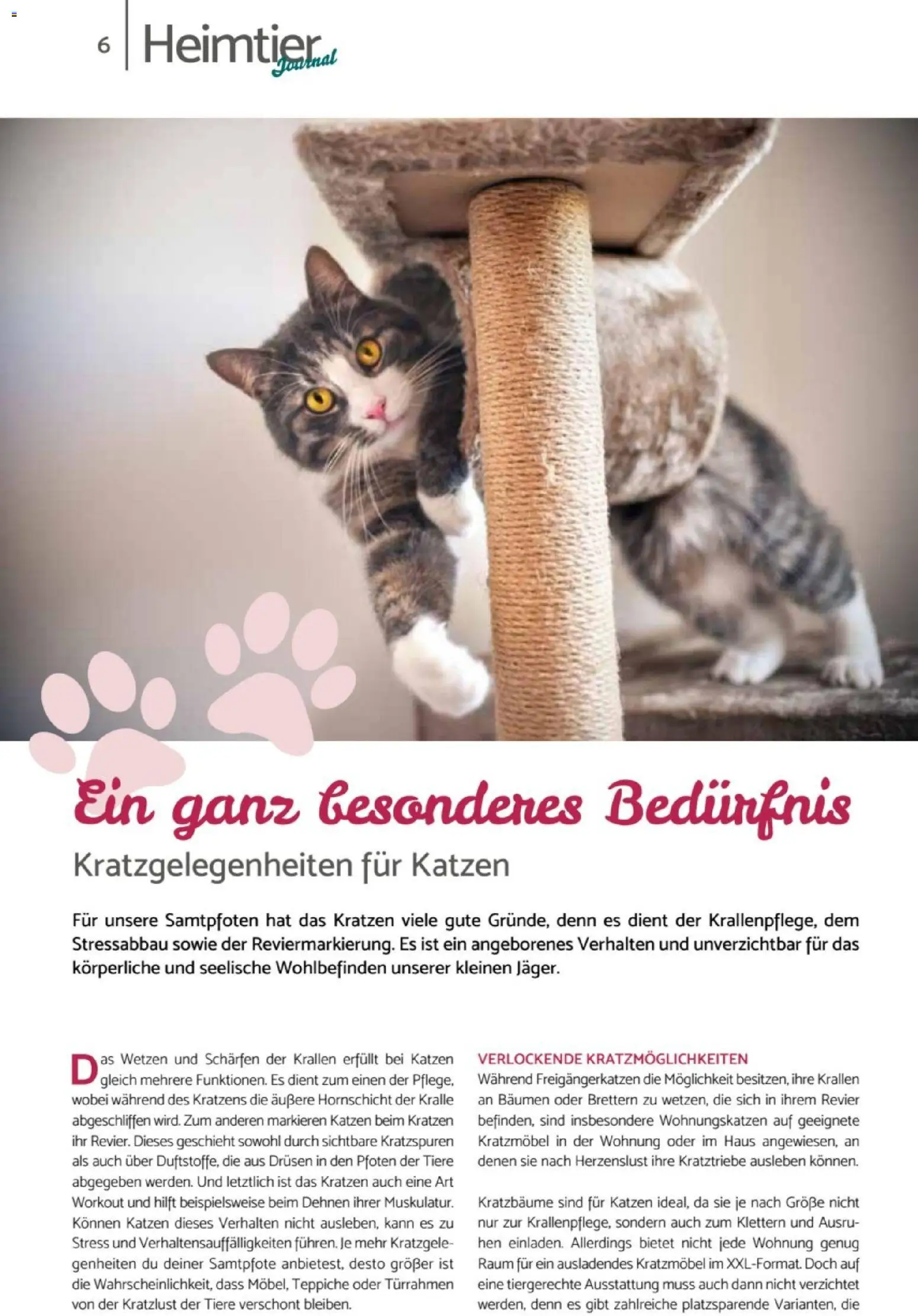 zookauf  Heimtier Journal – gültig ab 01.02.2026 | Seite: 6