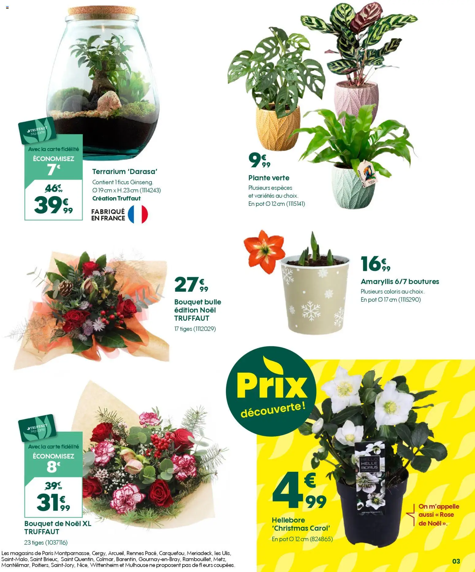 {H1} | Page: 3 | Produits: Plante verte