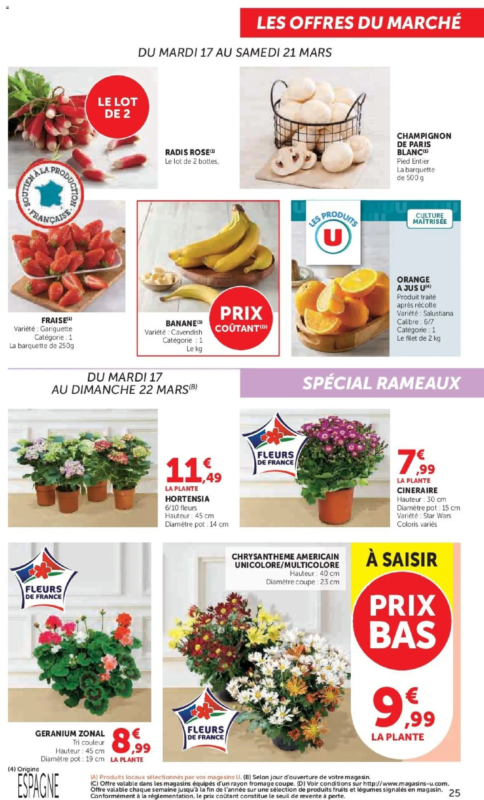 {H1} | Page: 25 | Produits: Hortensia, Radis, Chrysanthème, Jus