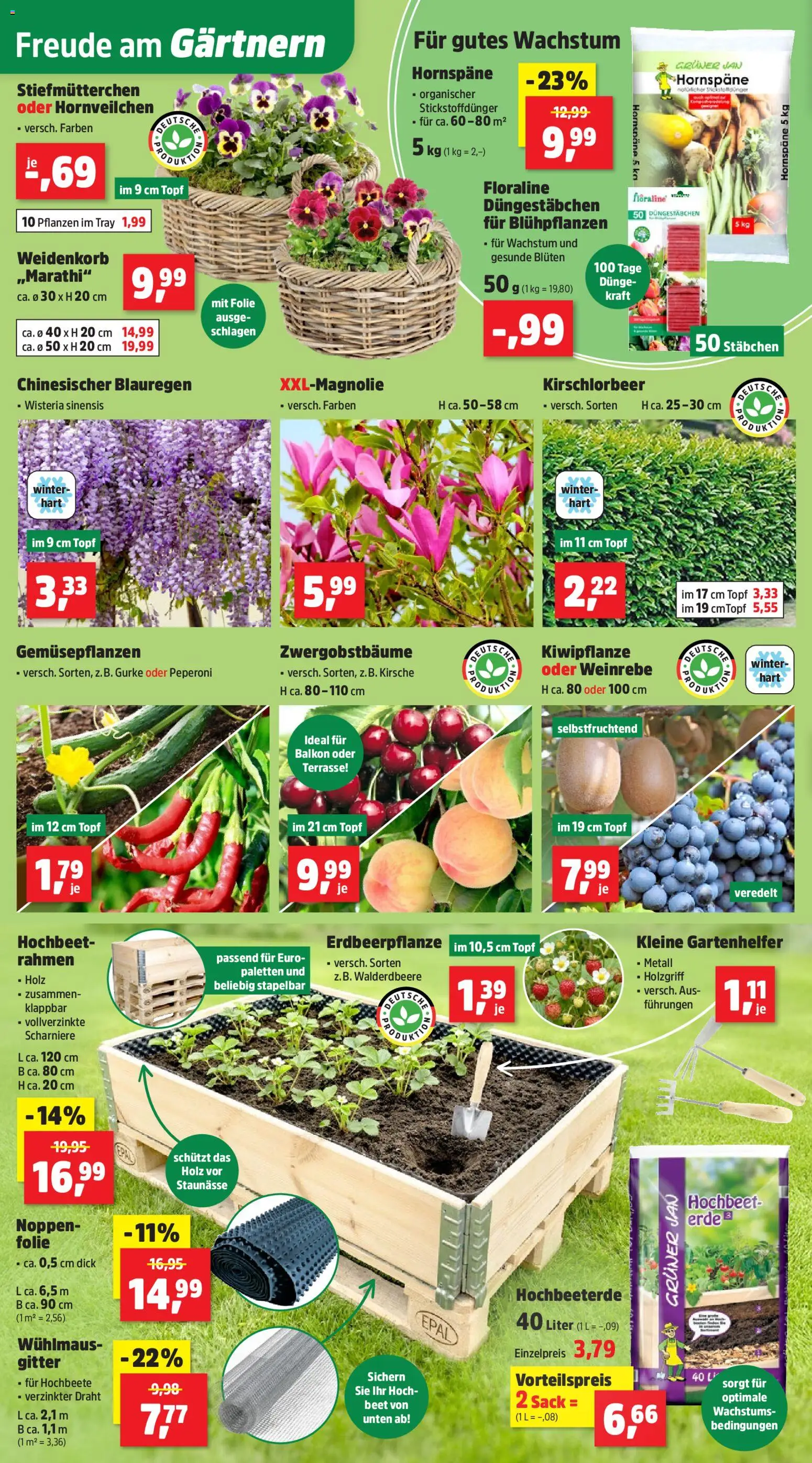 Thomas Philipps Prospekt – gültig ab 30.03.2026 | Seite: 2 | Produkte: Hochbeet, Stiefmutterchen