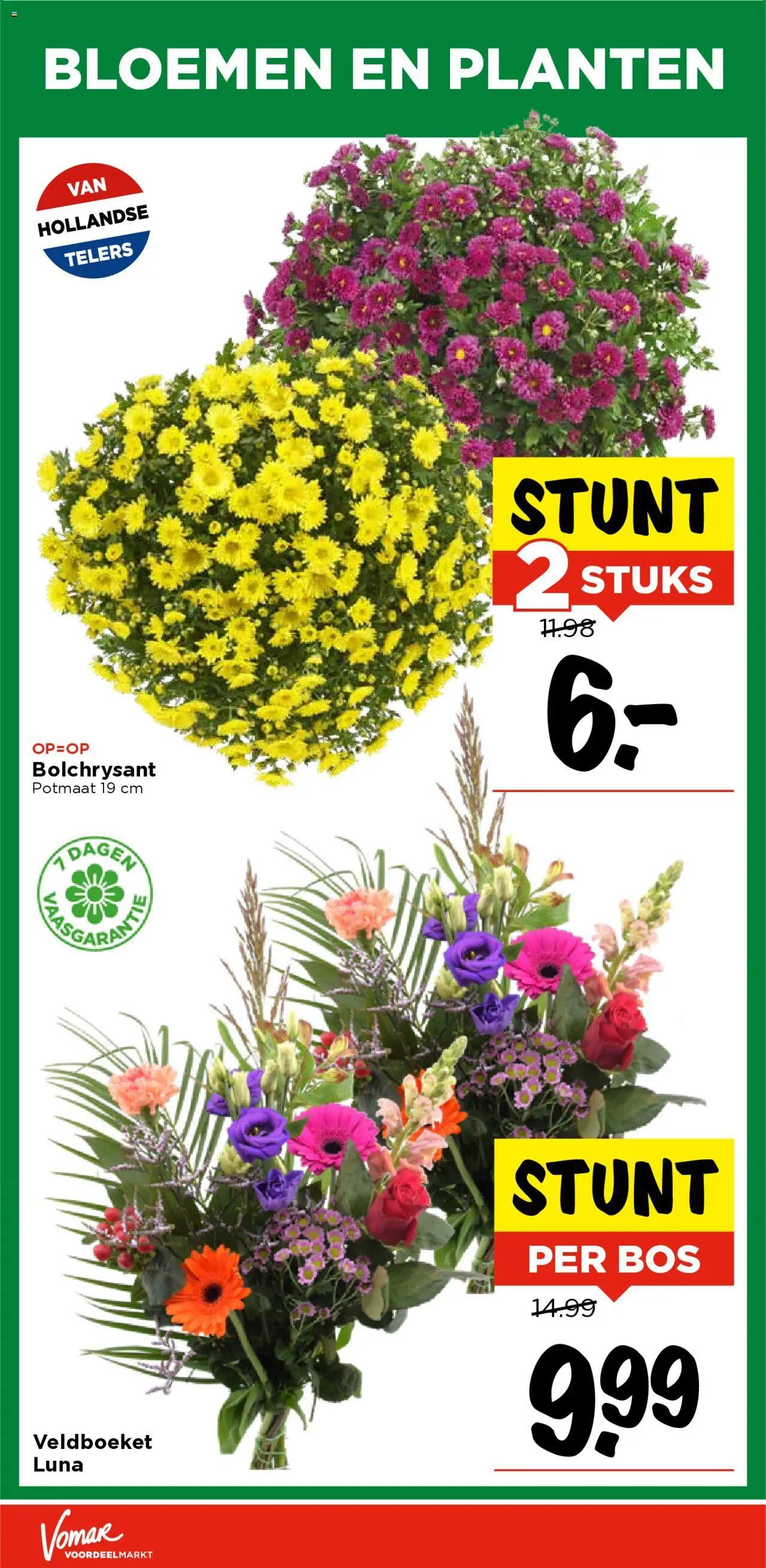 {H1} | Pagina: 35 | Producten: Bloemen