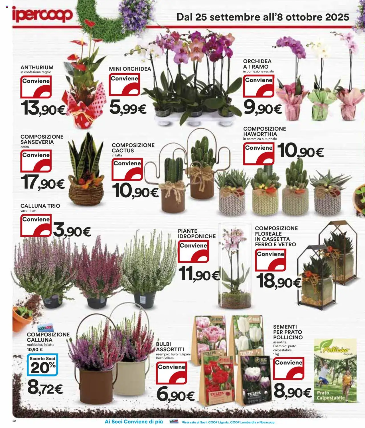 Volantino Ipercoop del 25.09.2025 | Pagina: 22 | Prodotti: Cactus, Orchidea, Vaso