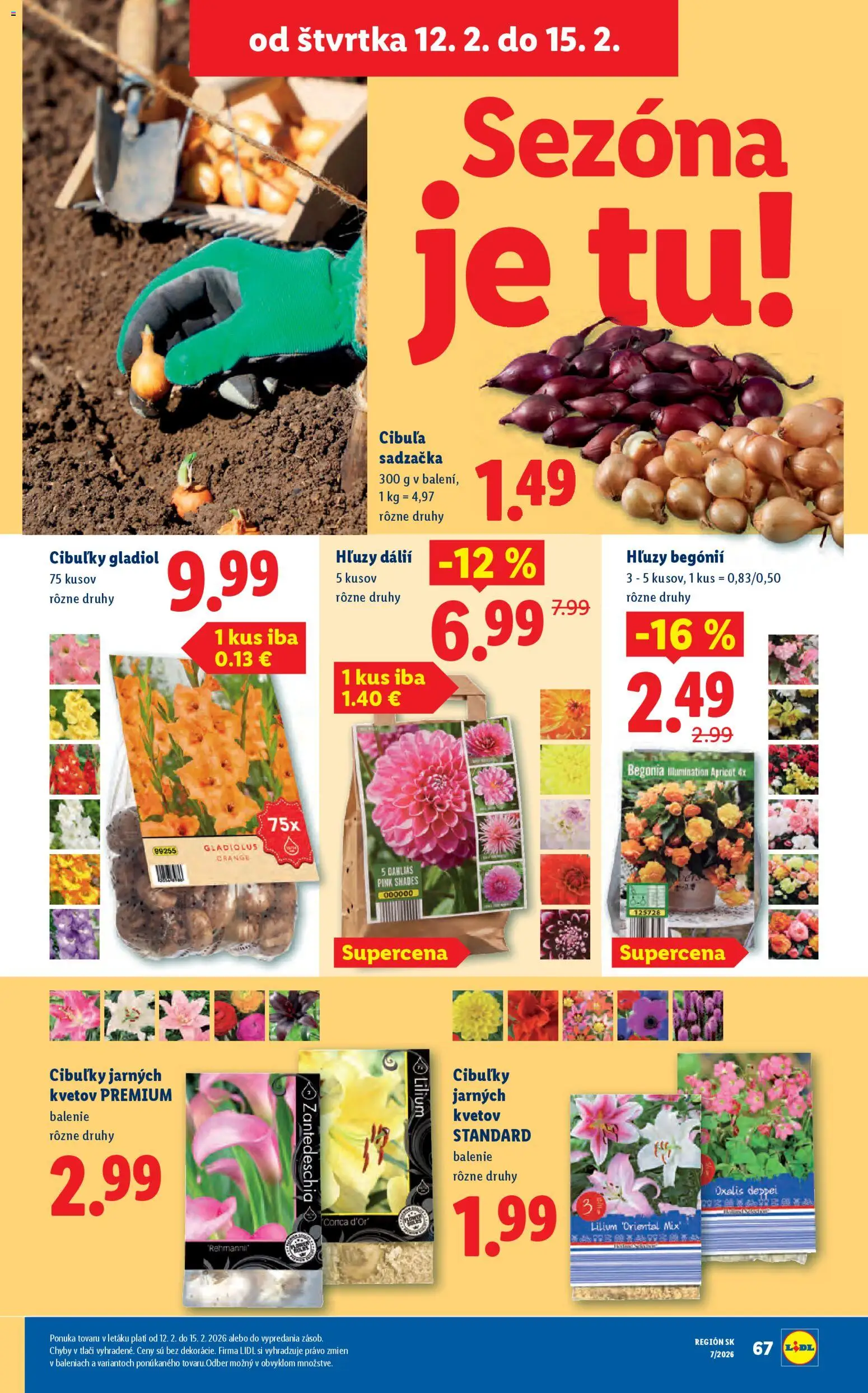 Nové Lidl akcie – leták je platný od 12.02.2026 | Strana: 39 | Produkty: Cibuľa