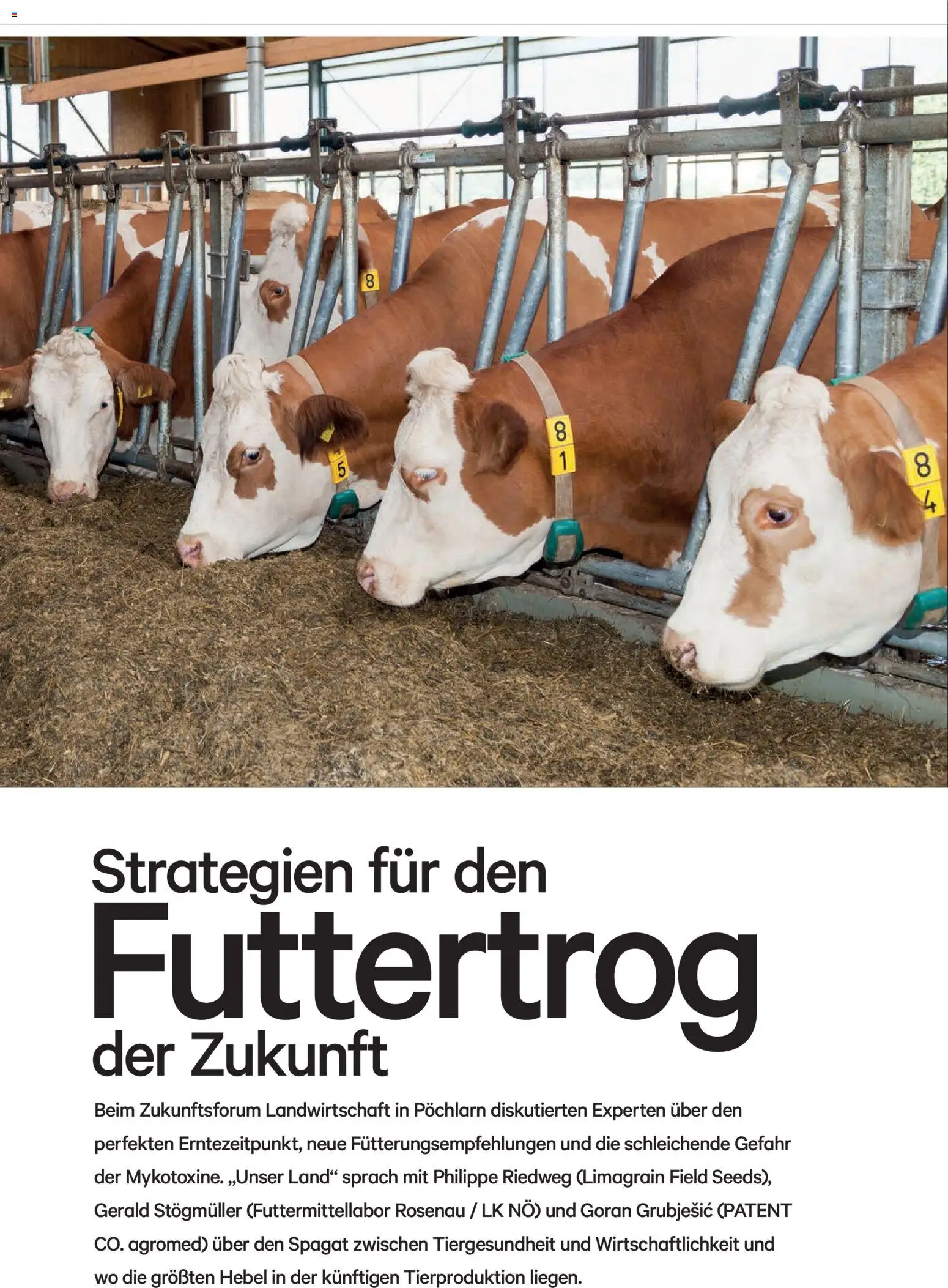 Lagerhaus Unser Land Jänner-Februar  2026 gültig ab 01.01.2026 | Seite: 38