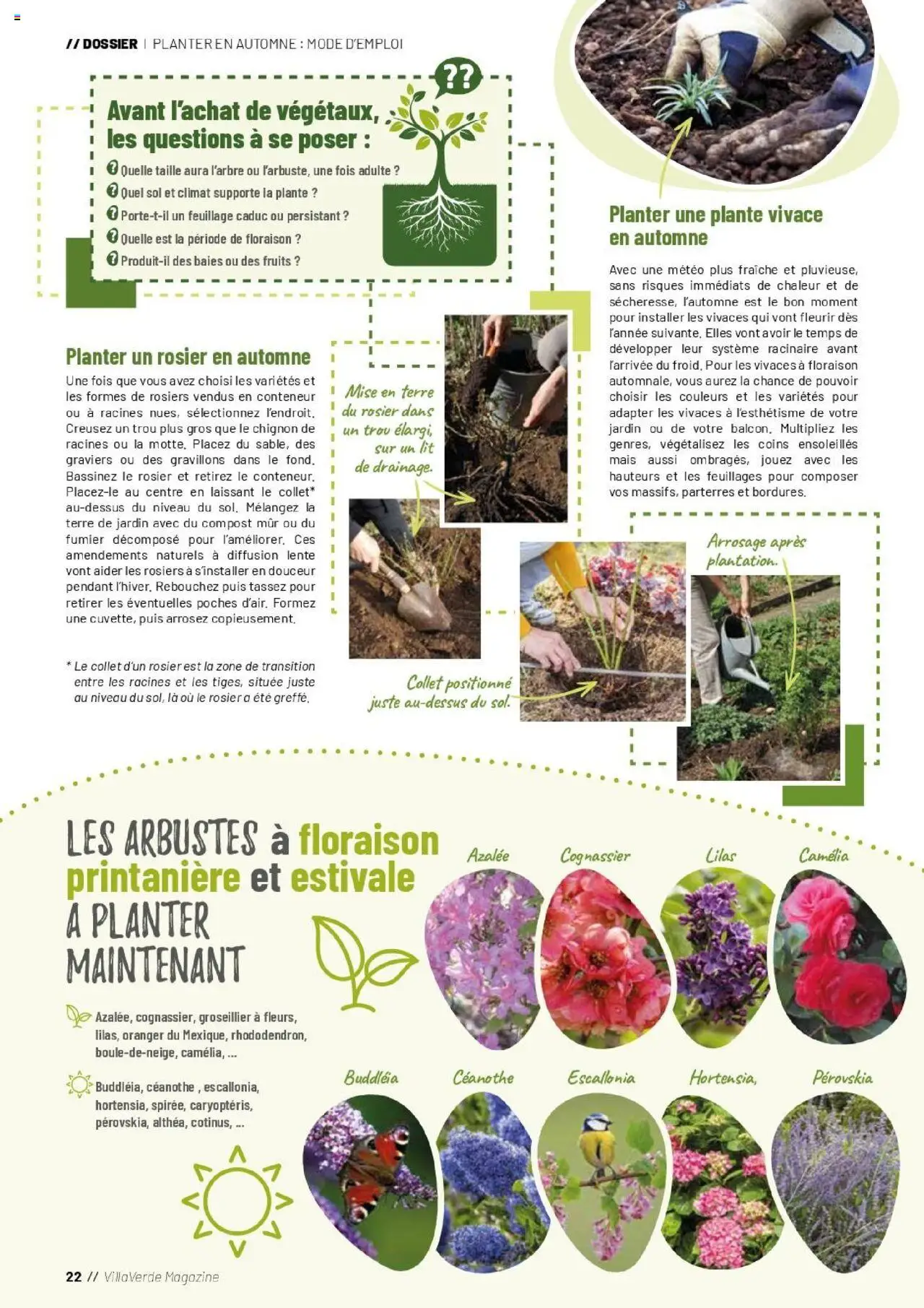  | Page: 22 | Produits: Camelia, Rosier, Lit, Magazine