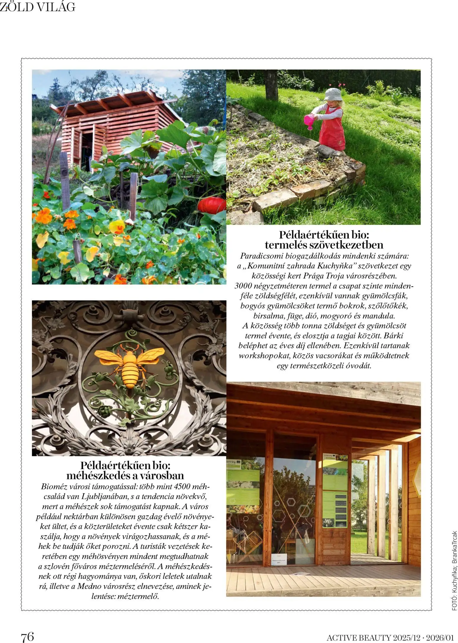 DM Drogerie Markt akciós ujság - amely érvényes a következő dátumtól: 18.12.2025 | Oldal: 76 | Termékek: Mogyoró