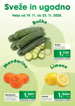 Tuš katalog akcije – veljaven od 19.11.2025