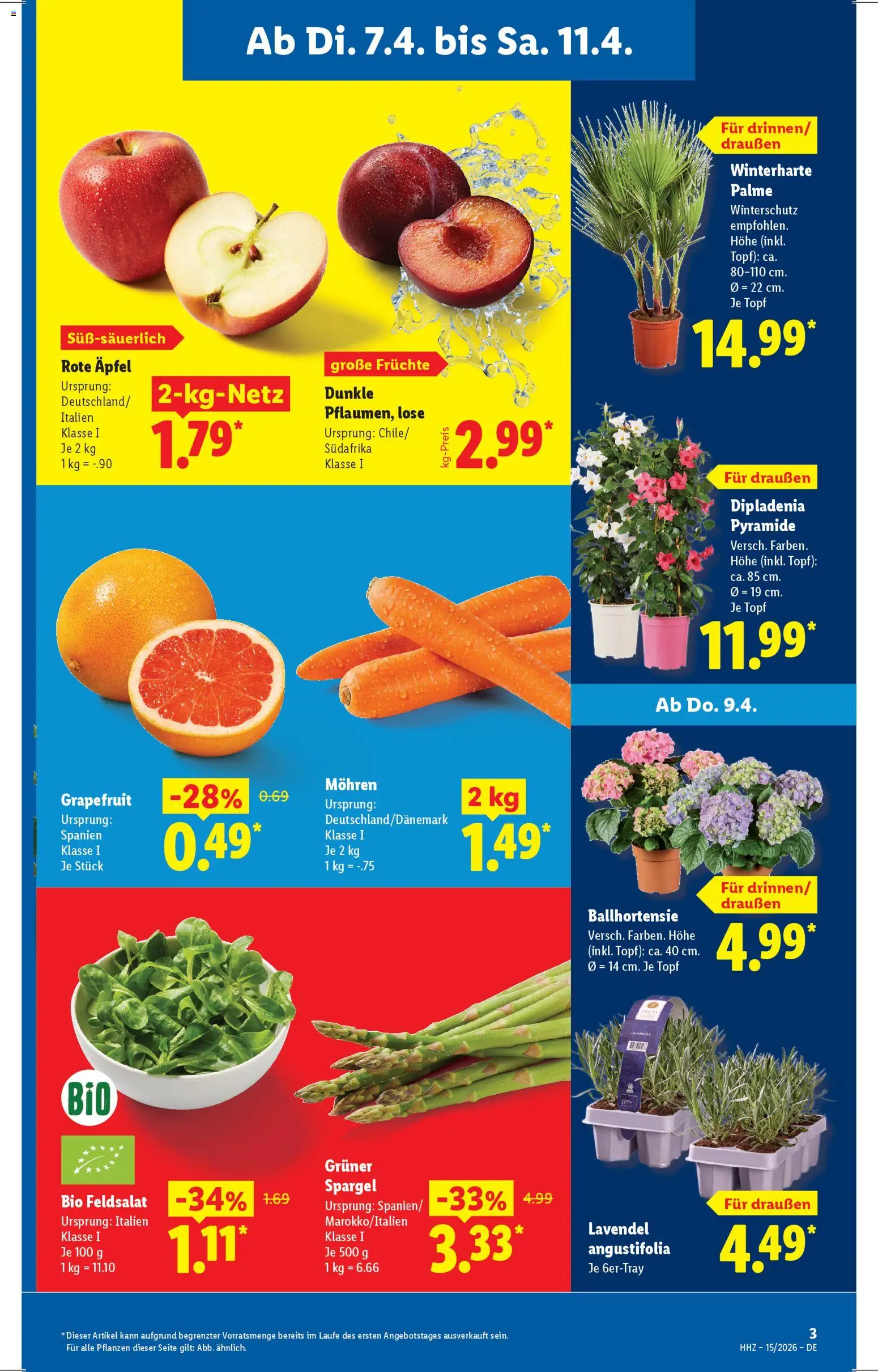 Lidl Prospekt – gültig ab 07.04.2026 | Seite: 5