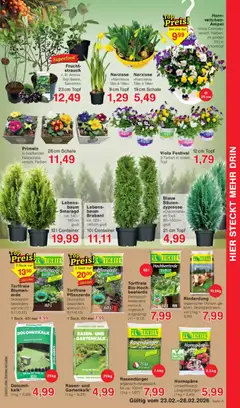 Jawoll Prospekt ab 23.02.2026 gültig | Seite: 5