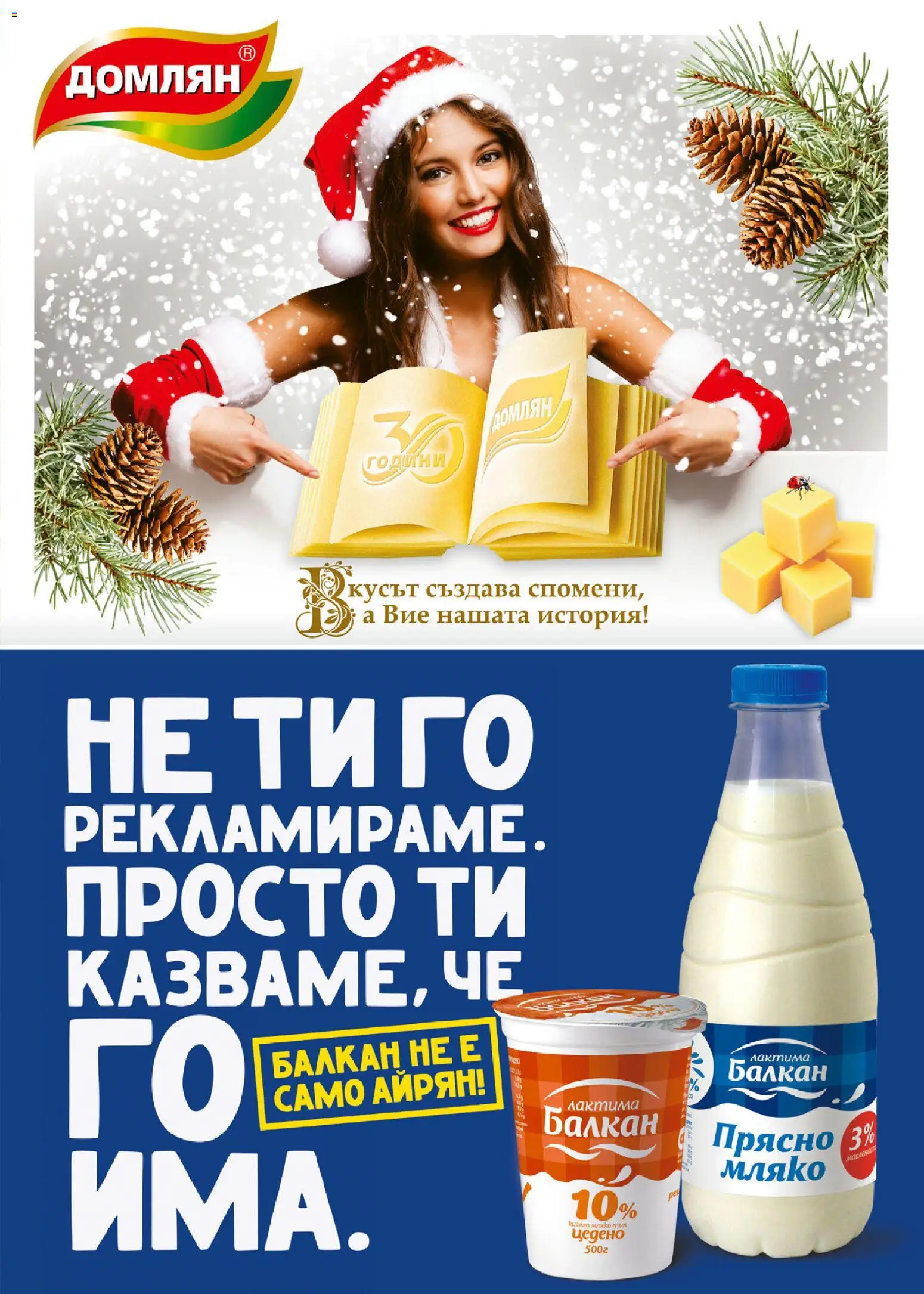 {H1} | Страница: 15 | Продукти: Кисело мляко, Мляко, Айрян