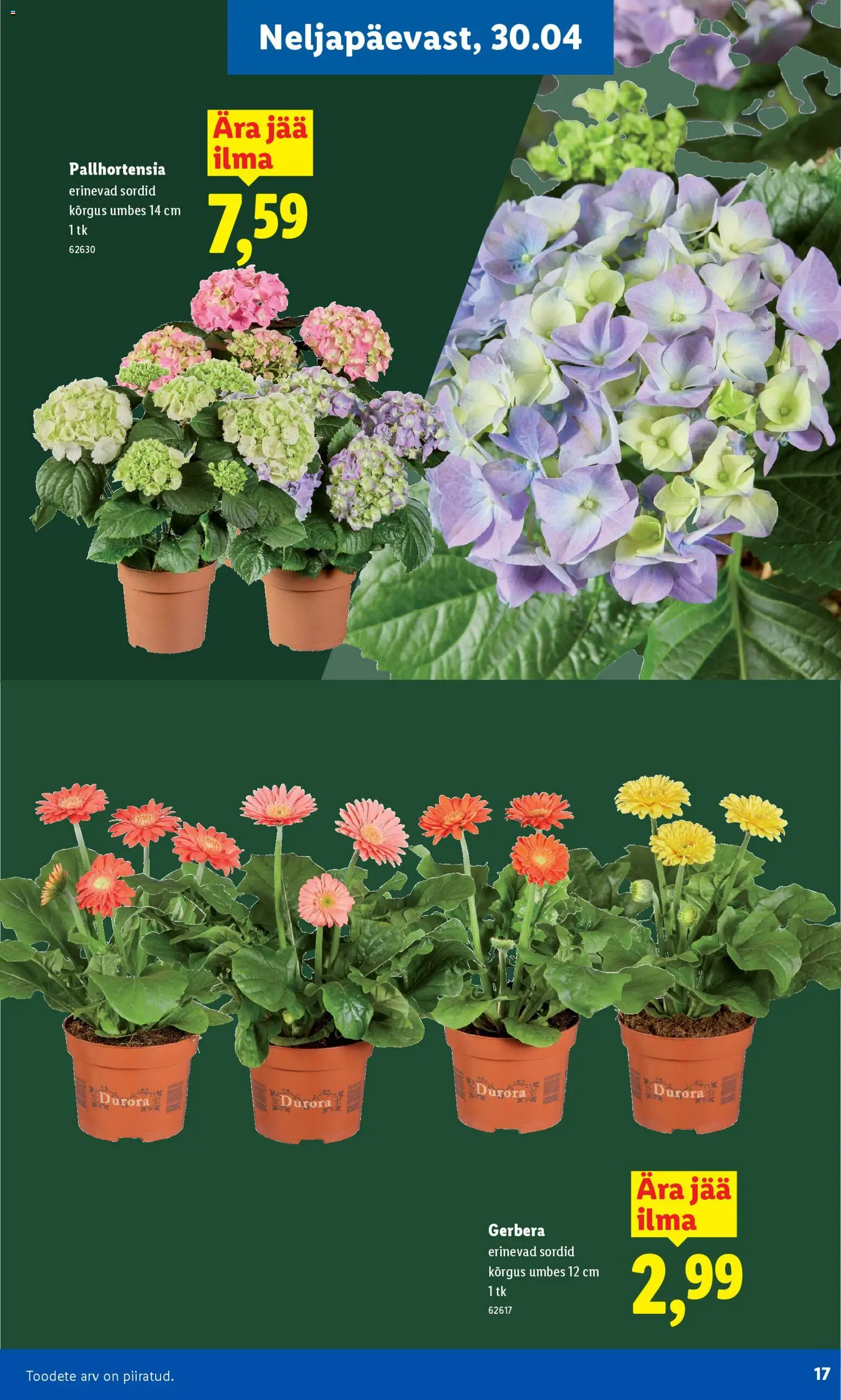 {H1} | Lehekülg: 17