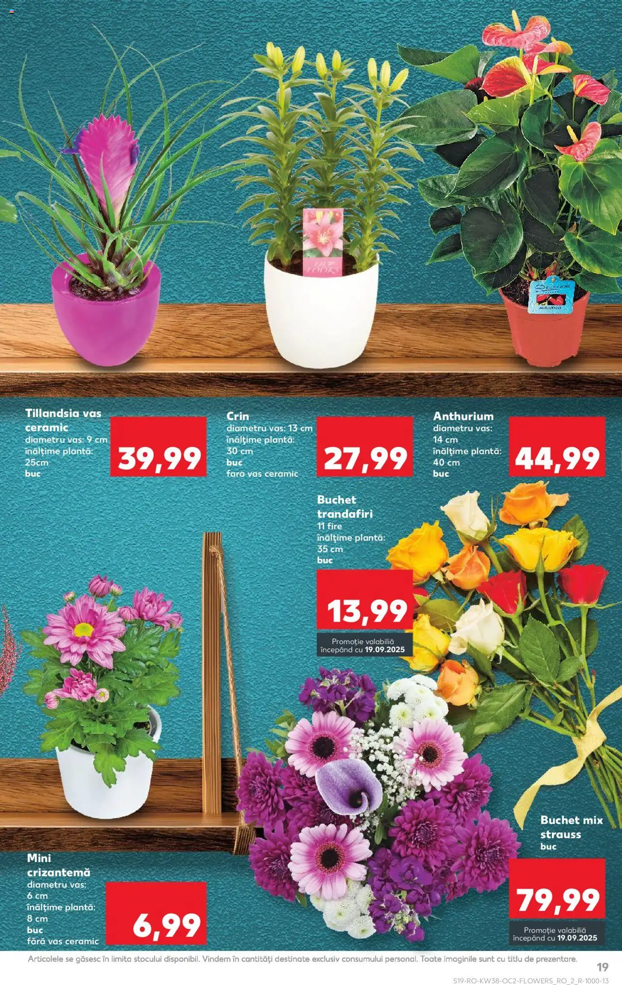 Noul catalog Kaufland – valabil de la 17.09.2025 | Pagină: 19