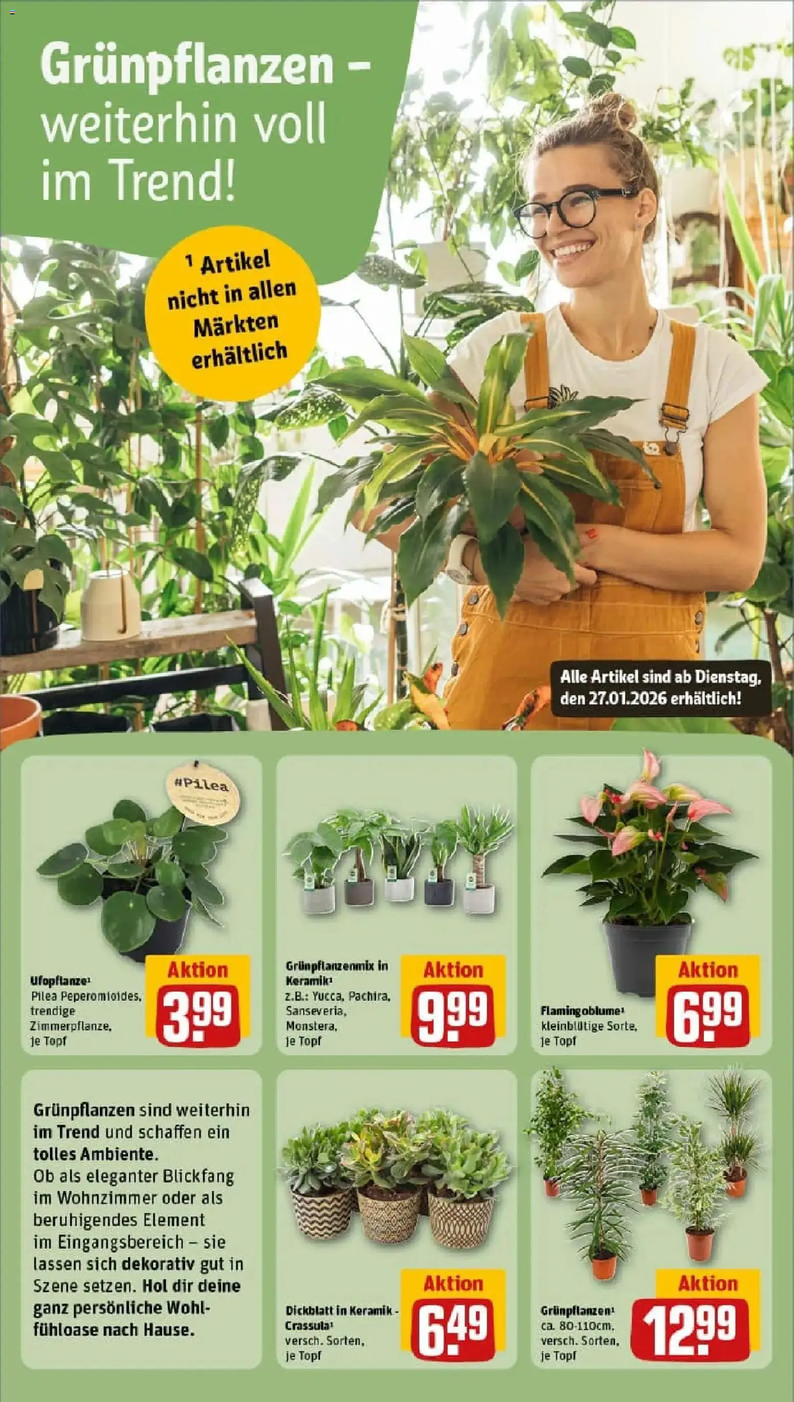Rewe prospekt Höxter	 – gültig ab 26.01.2026 | Seite: 9