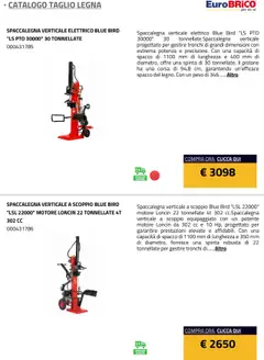 Anteprima del volantino Eurobrico Taglio Legna catalogo valido a partire dal 23.07.2025 | Pagina: 7