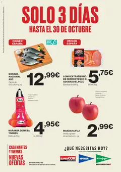Vista previa El Corte Inglés ofertas válido desde el 28.10.2025
