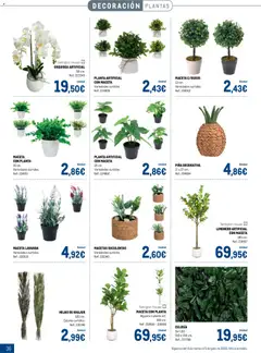 Vista previa Makro - Especial Terrazas válido desde el 09.03.2026 | Página: 36 | Productos: Piña, Αγκινάρα, Planta artificial, Maceta