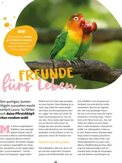 Fressnapf Magazin ab 01.09.2025 gültig | Seite: 26 | Produkte: Spiel