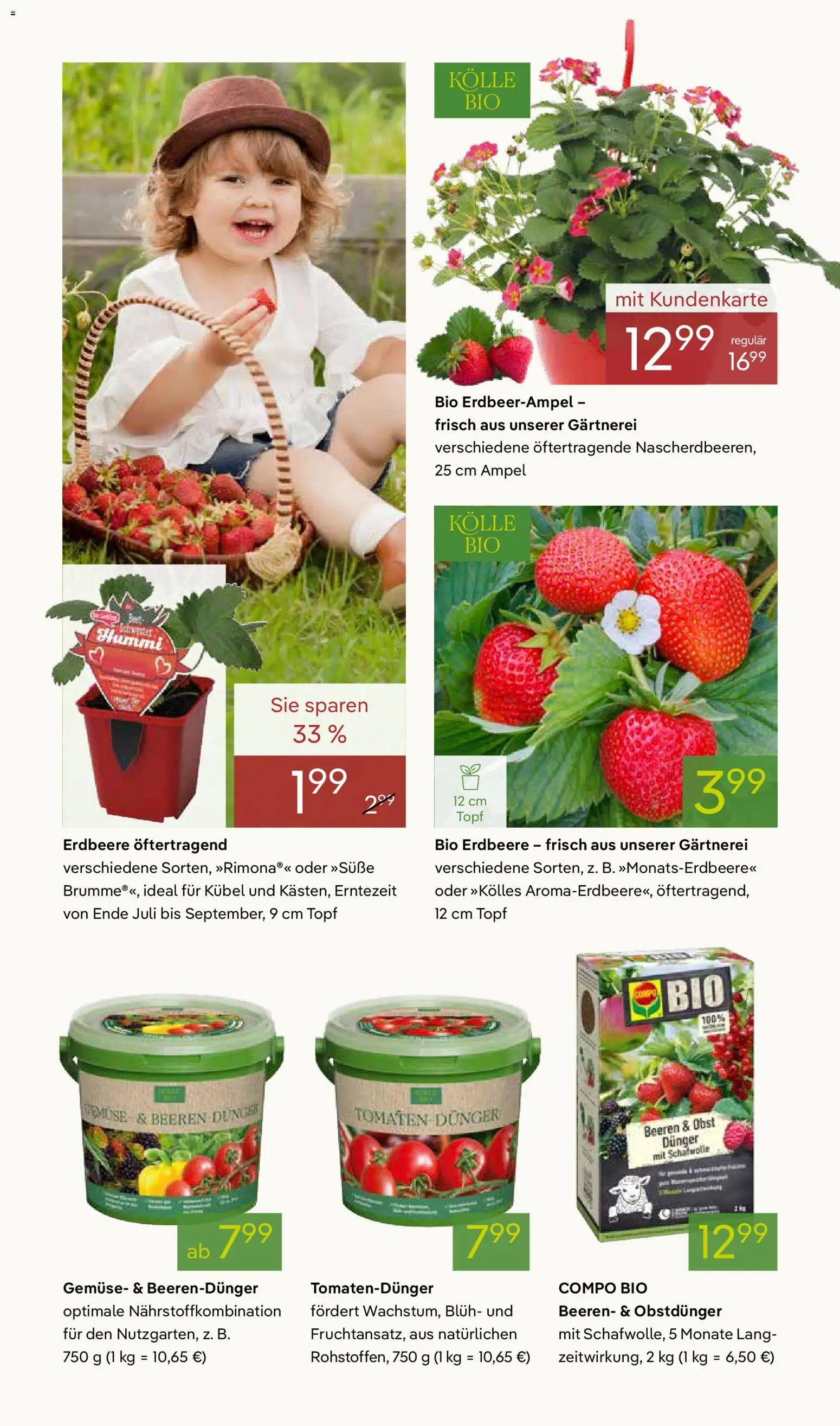 Pflanzen-Kölle Prospekt 	 – gültig ab 20.04.2026 | Seite: 8 | Produkte: Tomaten, Gemüse, Obst