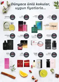 01.04.2026 tarihinden itibaren geçerli olan Rossmann kataloğu önizlemesi | Sayfa: 7 | Ürünler: Mont