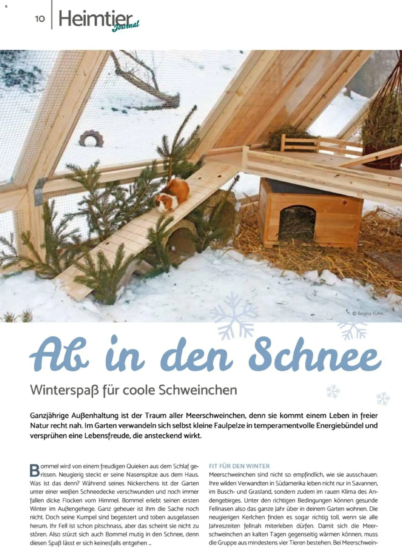 zookauf - Heimtier Journal – gültig ab 01.12.2025 | Seite: 10 | Produkte: Flocken