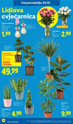 Katalog Lidl - Pregled kataloga iz trgovine Lidl, vrijedi od 20.10.2025 | Stranica: 60 | Proizvodi: Staklenke